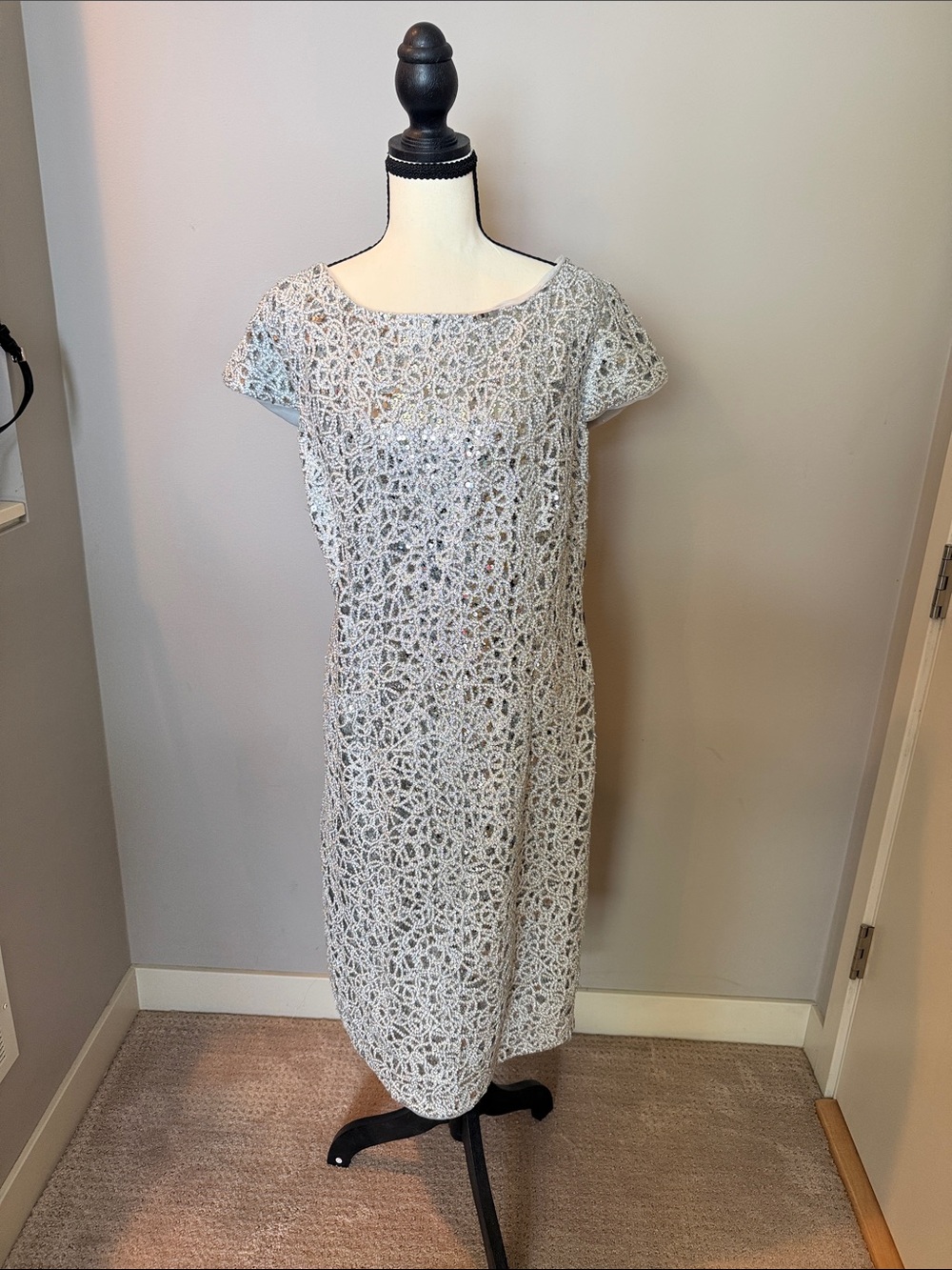 Women’s Silver Lace and Sequin Sheath Dress